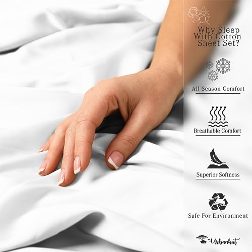 800 Thread Count Queen Egyptian Cotton Bed Set