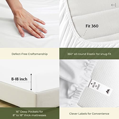 Luxury 100% Egyptian Cotton Queen Sheet Set
