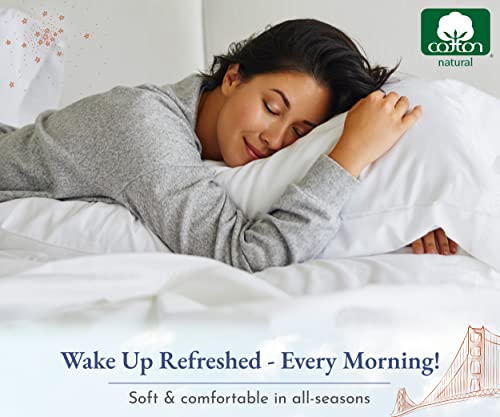 California Design Den 2-Pack Queen Cotton Bed Sheets