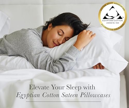 Luxury Egyptian Cotton Queen Pillow Cases - Set of 2