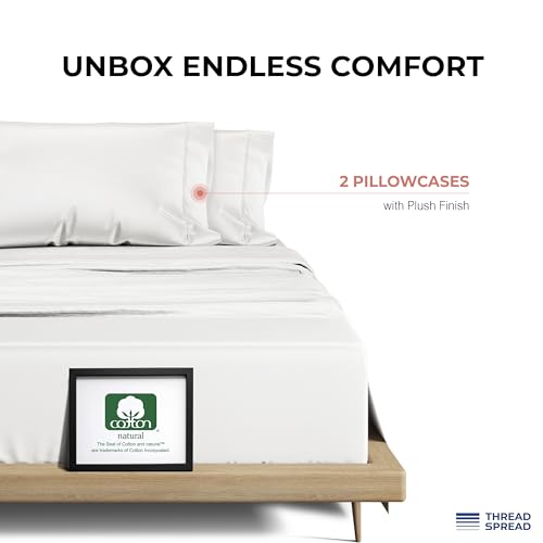 Luxury 100% Egyptian Cotton Pillowcase Set of 2