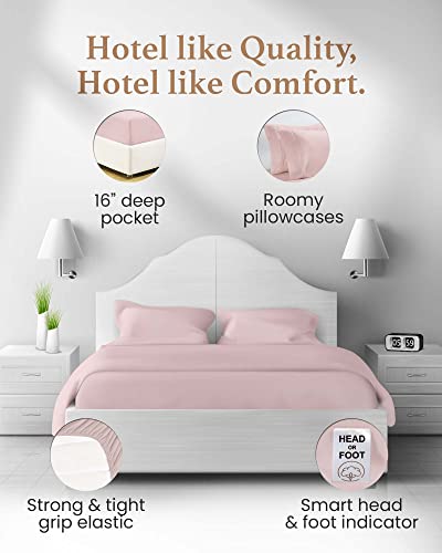 Luxury 1000 TC Egyptian Cotton Queen Sheet Set