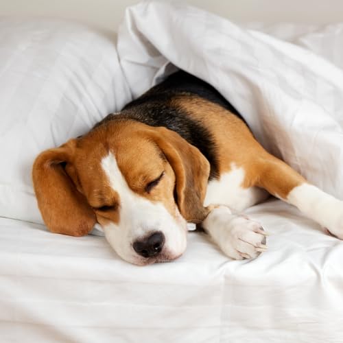 Amolavet King Size Satin Stripe Duvet Set