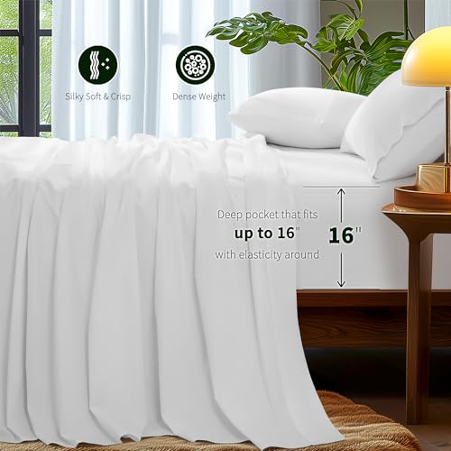 Luxury 1000 Thread Count Queen Cotton Sheet Set
