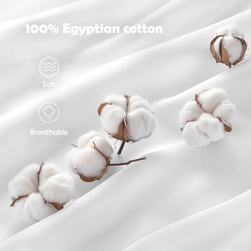 Luxury 1000 Thread Count Egyptian Cotton Queen Sheets