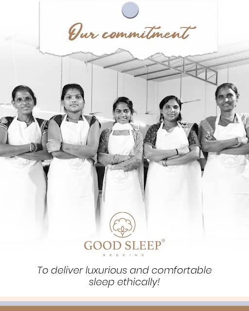 Luxury 1000 TC Egyptian Cotton Queen Sheet Set