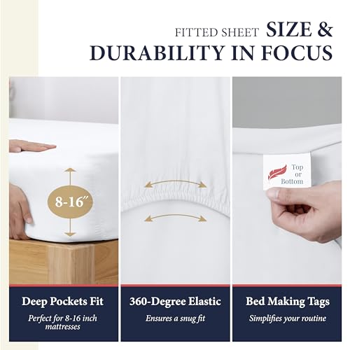 Ashton Luxury Egyptian Cotton King Sheets Set