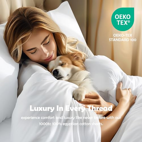 Luxury 1000 Thread Count Egyptian Cotton Queen Sheets