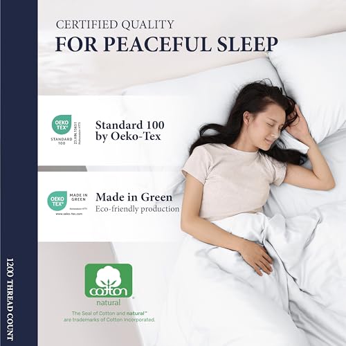 Ashton Luxury Egyptian Cotton King Sheets Set
