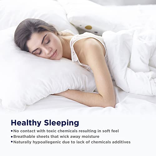 Luxury 100% Egyptian Cotton Queen Sheet Set