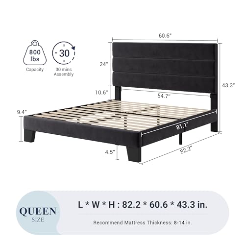 Velvet Upholstered Queen Platform Bed Frame in Black