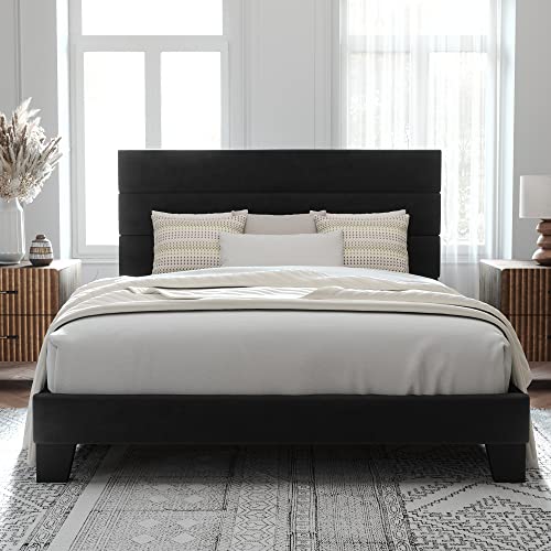 Velvet Upholstered Queen Platform Bed Frame in Black