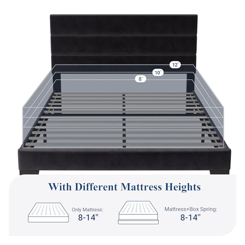 Velvet Upholstered Queen Platform Bed Frame in Black