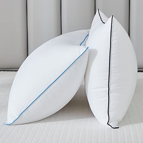 Cooling Luxury Queen Size Bed Pillows Set