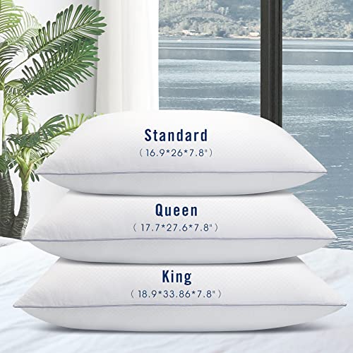 Queen Size Down Alternative Bed Pillows - 2 Pack