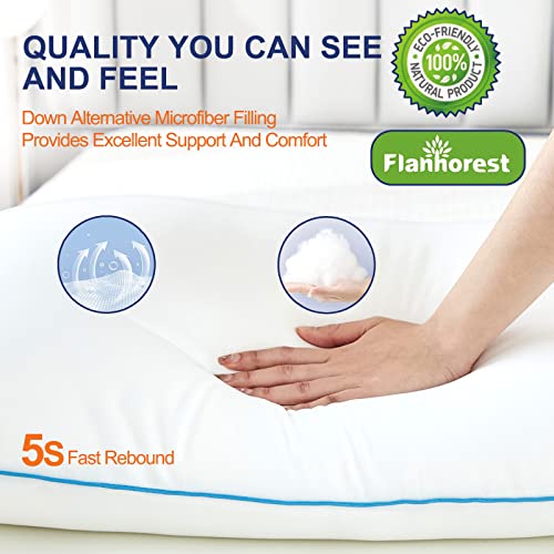 Cooling Luxury Queen Size Bed Pillows Set