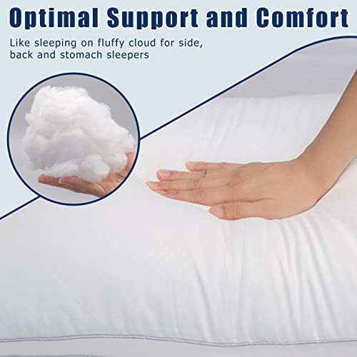 Queen Size Down Alternative Bed Pillows - 2 Pack