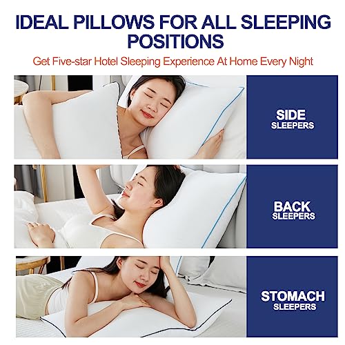 Cooling Luxury Queen Size Bed Pillows Set