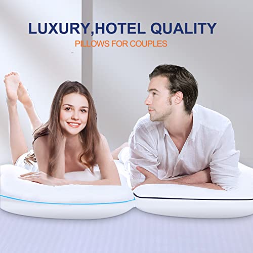 Cooling Luxury Queen Size Bed Pillows Set