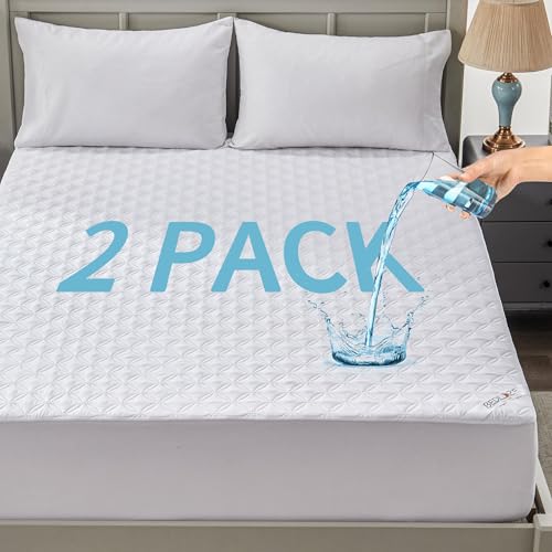Queen Size Waterproof Mattress Protector 2-Pack