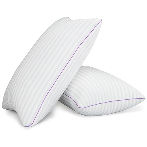 Queen Size Down Alternative Pillows Set of 2