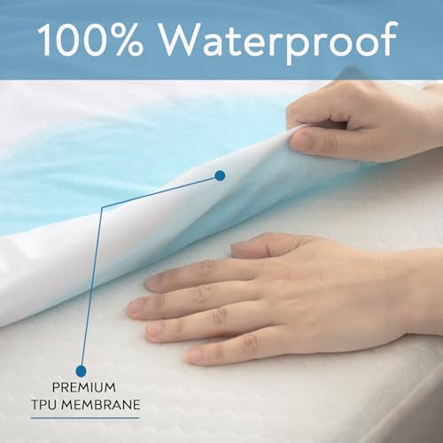 Waterproof Queen Sofa Bed Mattress Protector Pad