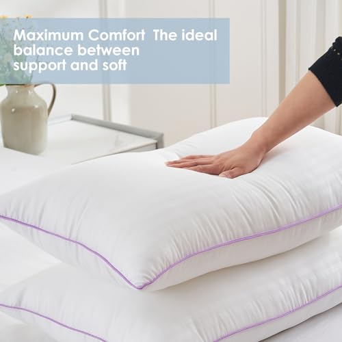 Queen Size Down Alternative Pillows Set of 2