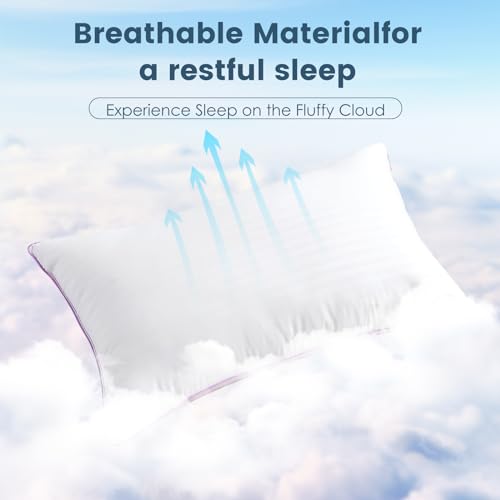 Queen Size Down Alternative Pillows Set of 2