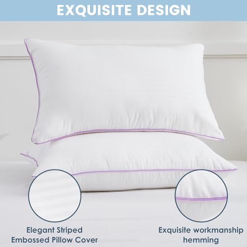 Queen Size Down Alternative Pillows Set of 2