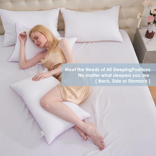 Queen Size Down Alternative Pillows Set of 2