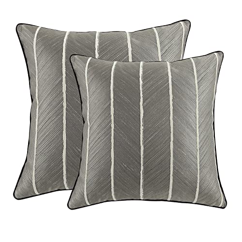Set of 2 Decorative Throw Pillow Covers
