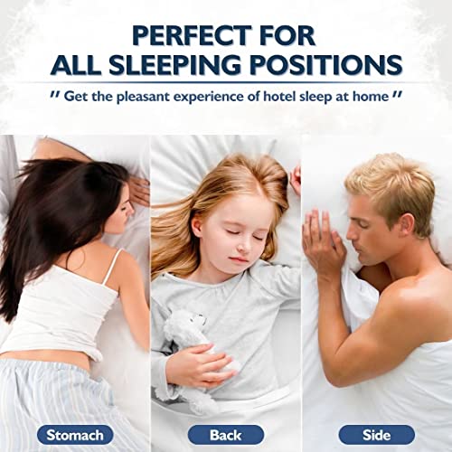 Queen Size Bed Pillows Set of 2 - Hotel Quality
