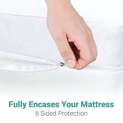Deluxe Hotel Waterproof Queen Mattress Protector