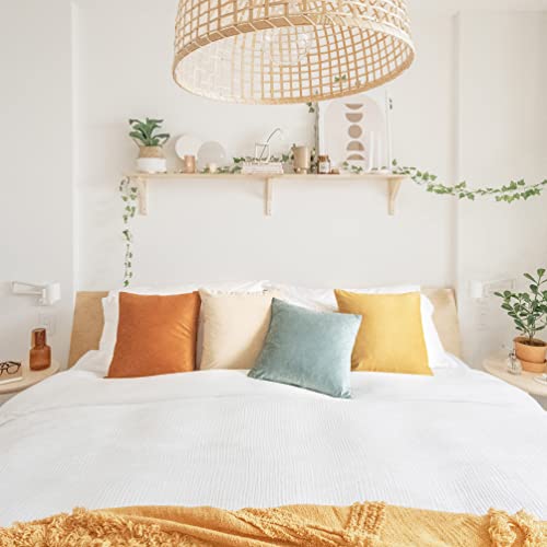 Set of 4 Velvet Decorative Pillow Covers