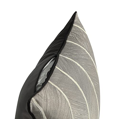 Set of 2 Decorative Throw Pillow Covers