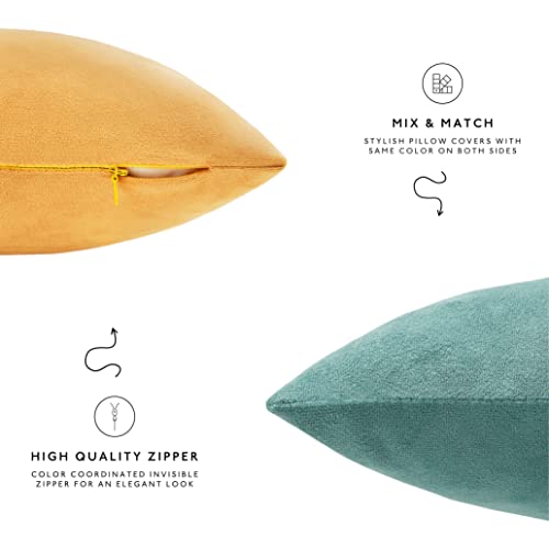 Set of 4 Velvet Decorative Pillow Covers