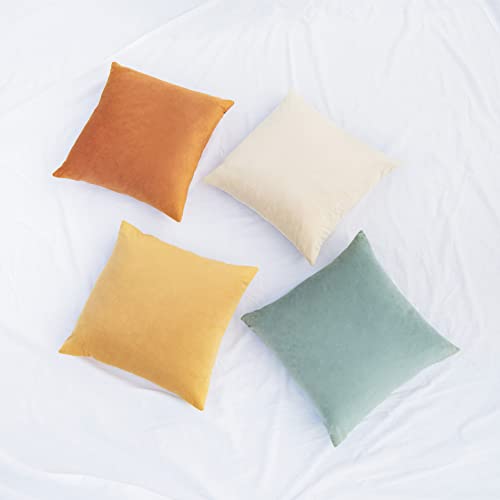 Set of 4 Velvet Decorative Pillow Covers