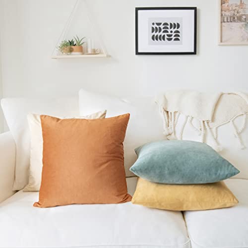 Set of 4 Velvet Decorative Pillow Covers