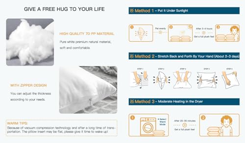 Set of 4 White 18x18 Pillow Inserts