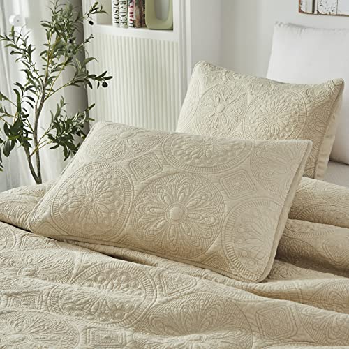Brandream King Size Beige Medallion Pillow Shams Set