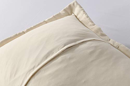 Beige 2-Piece Embroidered Queen Pillow Shams Set