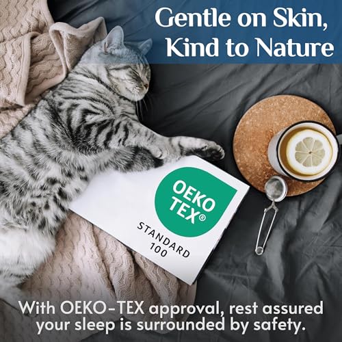 Dark Grey Queen Sheets Set - 4 Piece Bedding