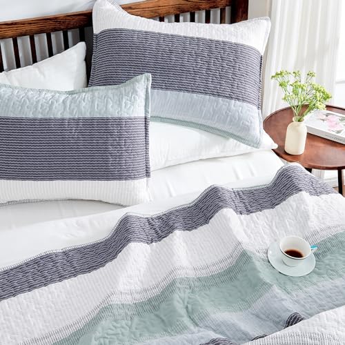 Sage Green Queen Quilt Bedding Set - 3 Pieces