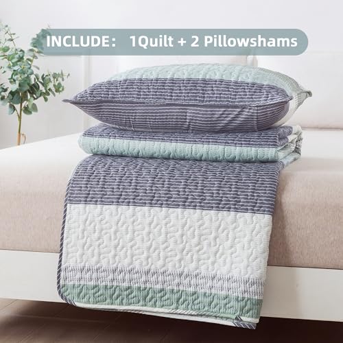 Sage Green Queen Quilt Bedding Set - 3 Pieces