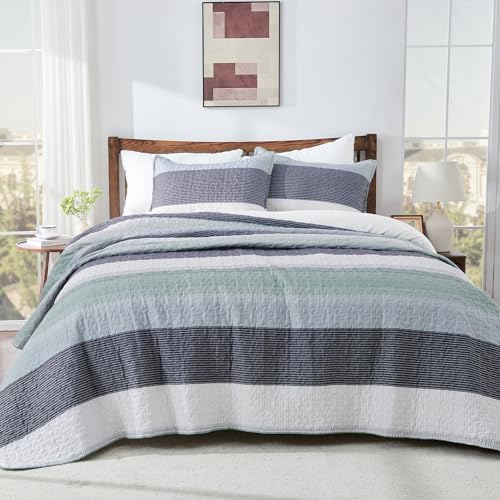 Sage Green Queen Quilt Bedding Set - 3 Pieces
