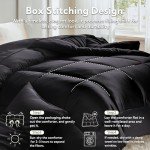 Black Reversible Satin Microfiber Queen Comforter Set