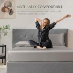 THXSILK 100% Mulberry Silk King Bed Set - Grey