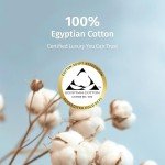 King Size 100% Egyptian Cotton Percale Sheet Set