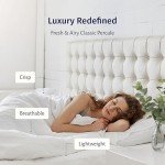 King Size 100% Egyptian Cotton Percale Sheet Set