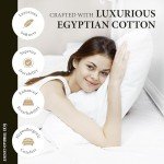 Queen Size 100% Egyptian Cotton Bed Sheet Set